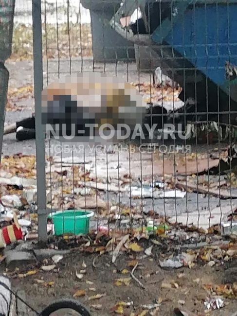 😱В Новой Усмани обнаружен труп девушки

Сегодня утром, примерно в 7:47, в Новой Усмани, возле киоска..