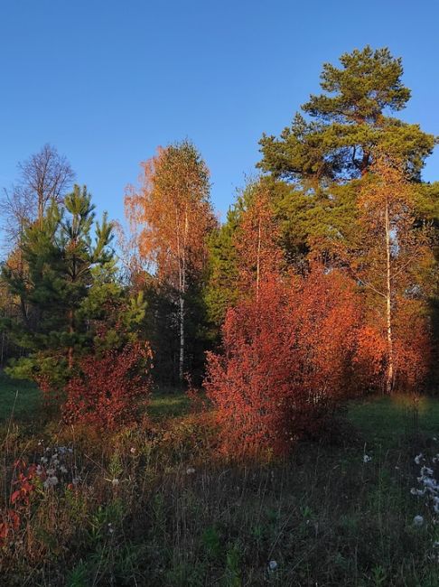 Пермский район, поселок Горный..