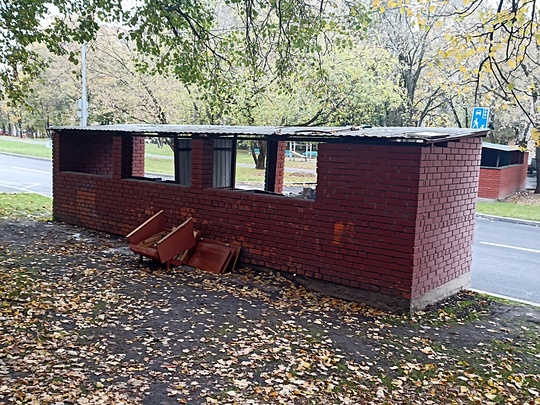 Наш подписчик жалуется на царство крыс и тараканов в подвале своего дома, а также на полное безразличие..