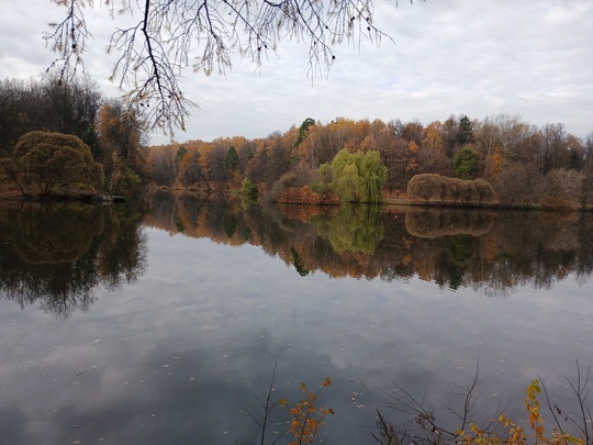 Золотая осень в Царицыно. 
 
Фото:..