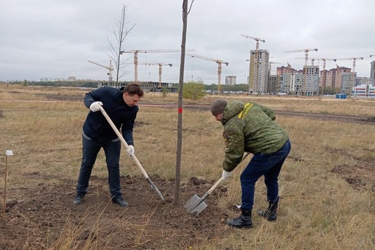 В Ростове-на-Дону началась закладка нового парка на территории бывшего аэропорта «Новый Ростов». Этот парк..