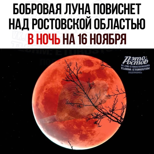 🌚 Бобровая Луна повиснет над Россией в ночь на 16 ноября. 
 
Это полнолуние станет еще и мощным суперлунием —..