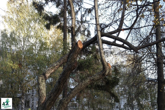 📝🌳🚜 
 
Мы вновь посетили сквер им. Валерия Иконникова. 
 
Напомним, летом в нем проходили работы по..