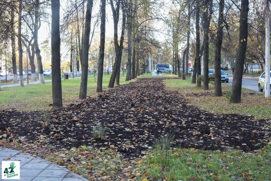 📝🌳🚜 
 
Мы вновь посетили сквер им. Валерия Иконникова. 
 
Напомним, летом в нем проходили работы по..