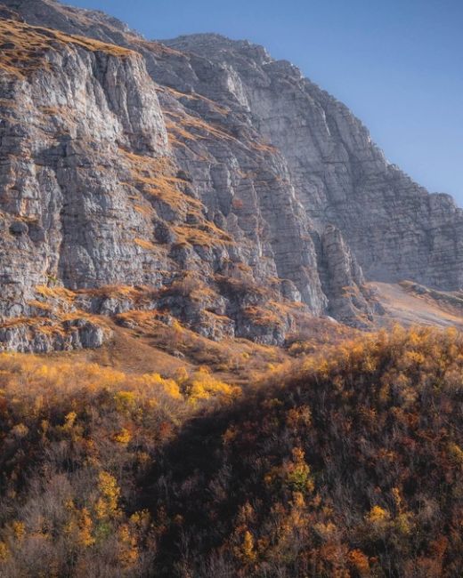 🍂🍁Самая красивая дорога Краснодарского края и Адыгеи

Просто садитесь в машину, вбивайте в навигатор..