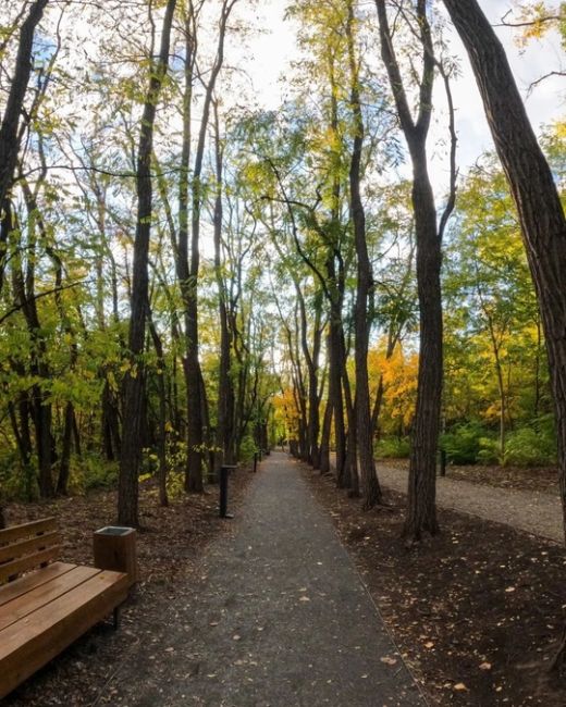 🍁 Золотая осень в парке Мухина балка в Аксае.
 
фото: Роман..