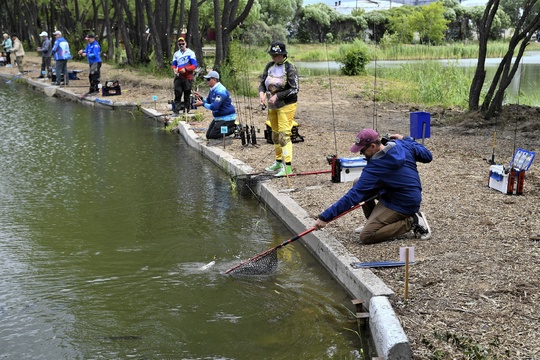 Дорогие друзья 🎣🐟🎣
Данное мероприятие пройдет впервые на нашем водоёме "Клёвое озеро" ул. 10 лет Октября,..