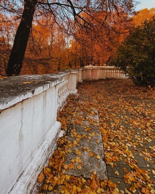 Лефортовский парк – первый регулярный сад на территории современной Москвы. 

Фото:..