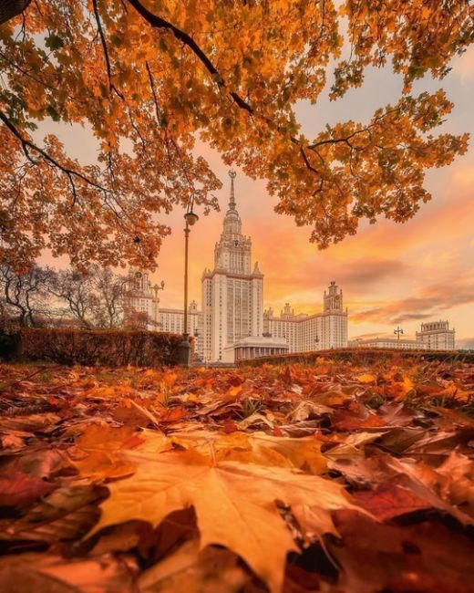 МГУ имени М.В.Ломоносова окутан осенью.

Фото:..