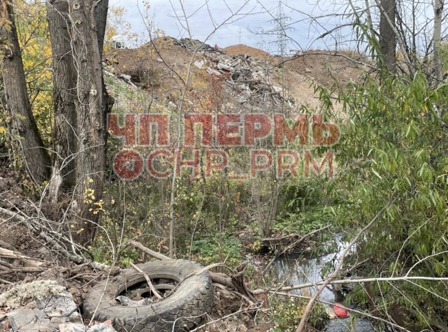 Особо охраняемая природная территория речки Гусянки

Кому вопросы..