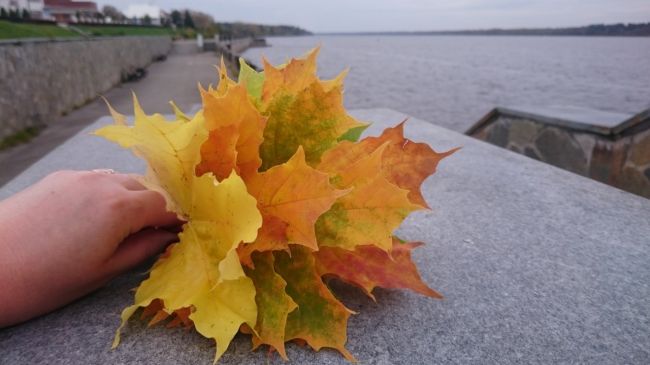 Еще осенние пейзажи Перми 😍Спасибо за фото нашему подписчику

Кидайте фото в..