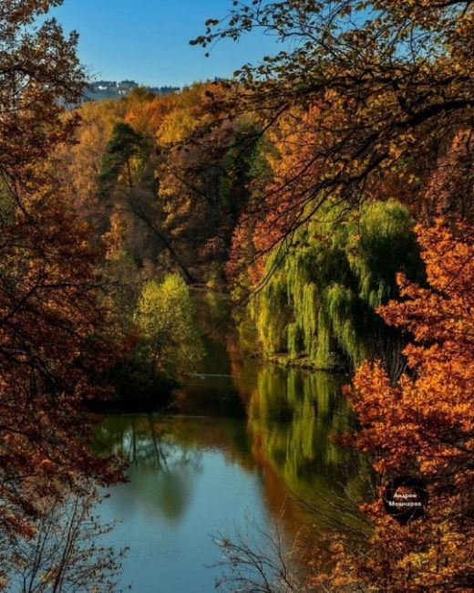 Золотая осень в Царицыно. 
 
Фото:..