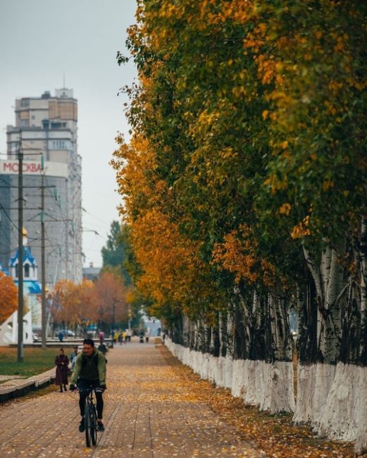 Осень в парке Гагарина..