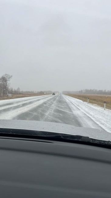 Снег выпал этой ночью в Новосибирской области 

Вот так выглядит дорога в Омск. О снежной ночи сообщили и..