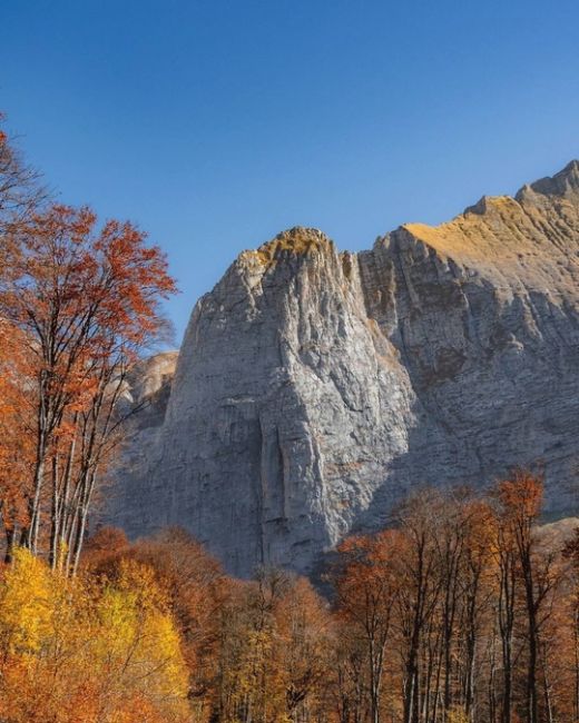 🍂🍁Самая красивая дорога Краснодарского края и Адыгеи

Просто садитесь в машину, вбивайте в навигатор..