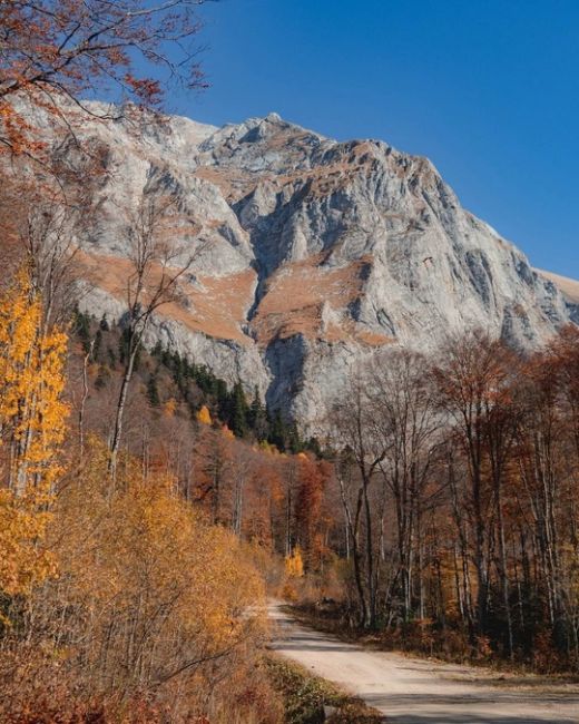 🍂🍁Самая красивая дорога Краснодарского края и Адыгеи

Просто садитесь в машину, вбивайте в навигатор..