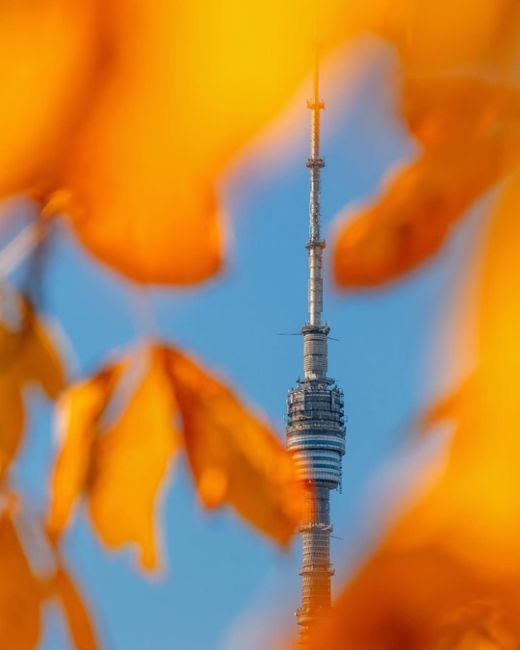 🍂ВДНХ в осенних красках.

Фото:..