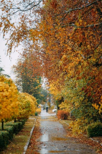 Осень в Воронежской области😍

Фото: [id24208205|Дмитрий..