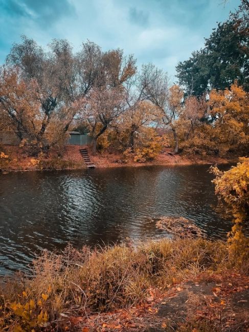 Золотая осень в Воронежской области 🍁 
Фото: Vikulya..