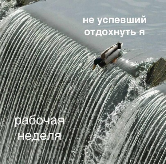 В России стартовала шестидневная рабочая неделя перед праздниками

С 28 октября по 2 ноября в России началась..