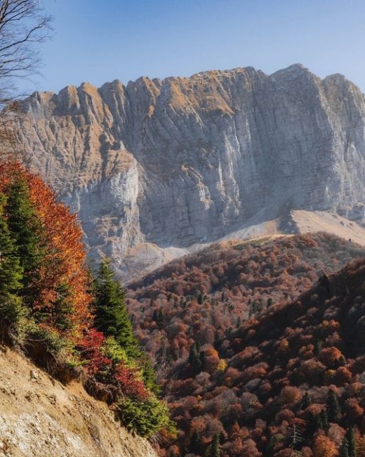 🍂🍁Самая красивая дорога Краснодарского края и Адыгеи

Просто садитесь в машину, вбивайте в навигатор..