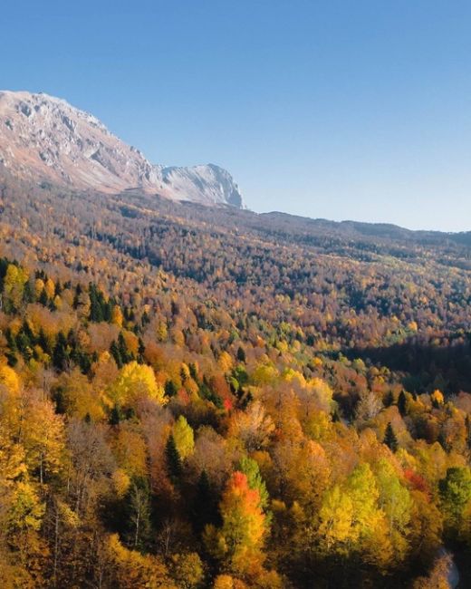 🍂🍁Самая красивая дорога Краснодарского края и Адыгеи

Просто садитесь в машину, вбивайте в навигатор..