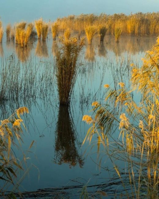 Утро у реки Сосыка 😍

Краснодарскиий край‌, станица Пластуновская, женский‌ Всецарицынскиий монастырь,..