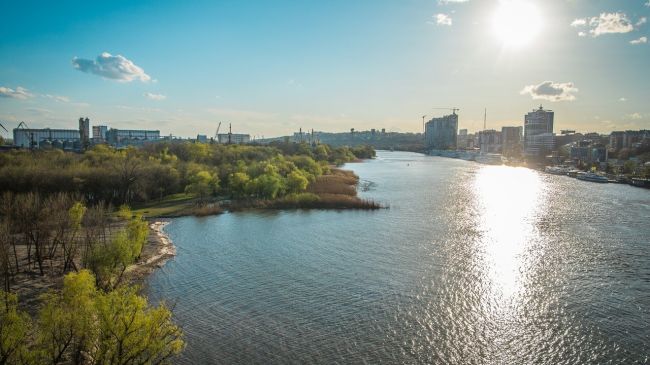 В ближайшее время на Дону ожидается не так много дождливых дней, как туманных, предупреждает Гидрометцентр...