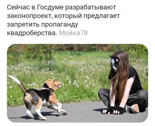 🦊Они уже среди..