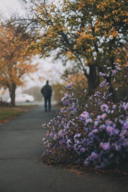 🌫 Утро в Батайске

Фото: Артём..