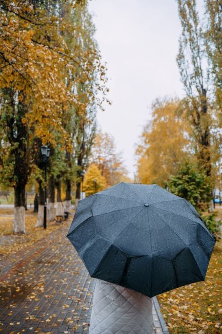 Осень в Воронежской области😍

Фото: [id24208205|Дмитрий..