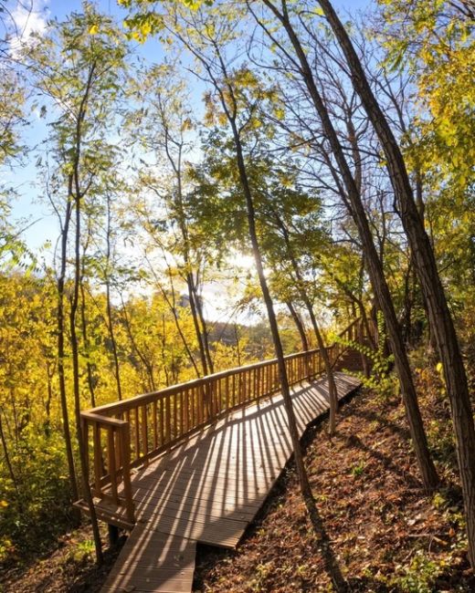 🍁 Золотая осень в парке Мухина балка в Аксае.
 
фото: Роман..