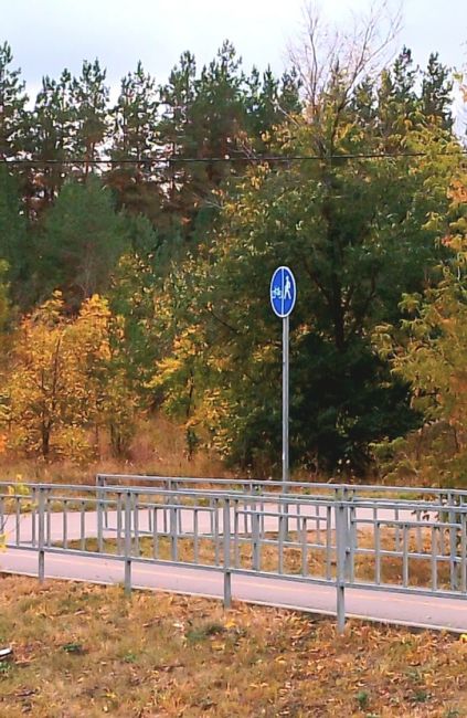 На опушке леса в Воронеже обнаружено вот такое послание😬

Фото: Ольга..