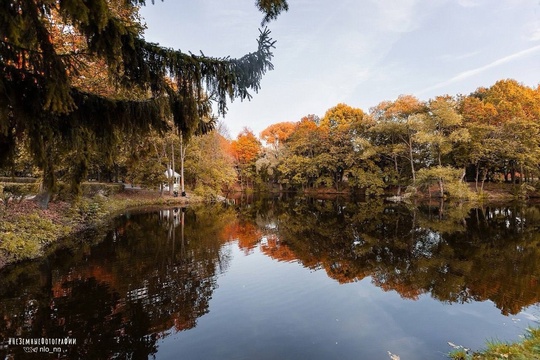 Прекрасная Болдинская осень 🍁

📸 Никита..