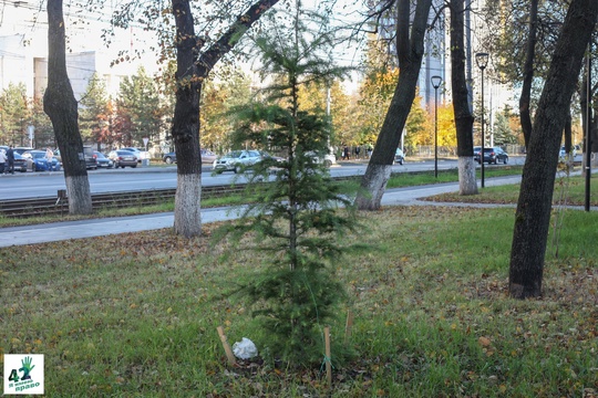 📝🌳🚜 
 
Мы вновь посетили сквер им. Валерия Иконникова. 
 
Напомним, летом в нем проходили работы по..