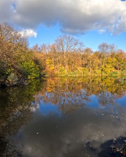 🍁 Золотая осень в парке Мухина балка в Аксае.
 
фото: Роман..