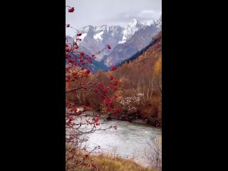 Одна из самых красивых и самых доступных локаций Домбая!
Ущелье Гоначхир.

Ущелье после страшного пожара,..