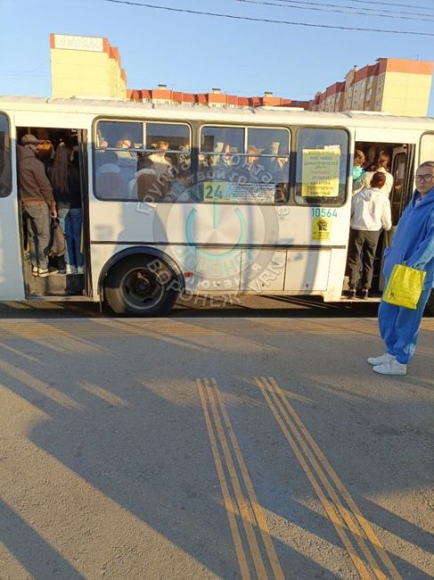 «Это Шилово, и так каждое утро, уехать невозможно», — сообщает наш..