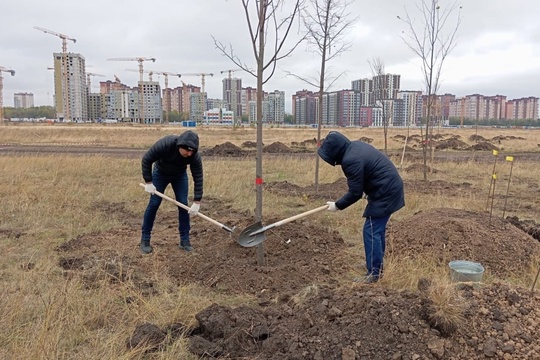 В Ростове-на-Дону началась закладка нового парка на территории бывшего аэропорта «Новый Ростов». Этот парк..