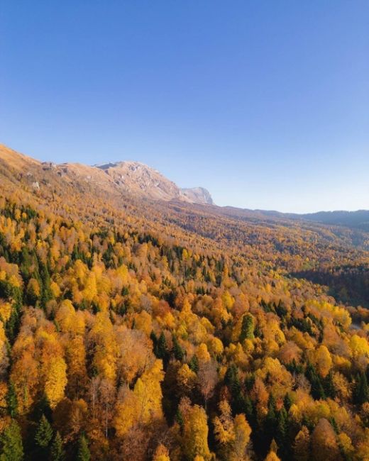 🍂🍁Самая красивая дорога Краснодарского края и Адыгеи

Просто садитесь в машину, вбивайте в навигатор..