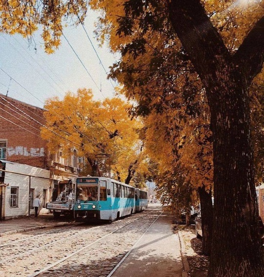 🍂 В Краснодарском крае температура поднимется до +19 градусов.

Дожди отступят, и температура начнет..