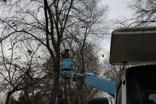 Кто празднику рад, тот…      

В Первомайском сквере Новосибирска уже начали подготовку к празднованию Нового..