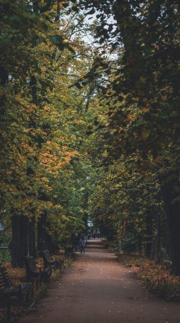 Осень в Аптекарском огороде

Фото: Оксана..