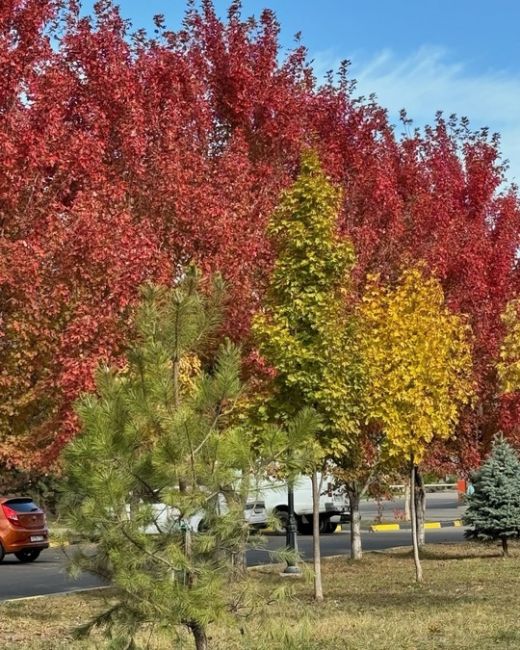 Осень в Немецкой деревне 🍁

Фото..