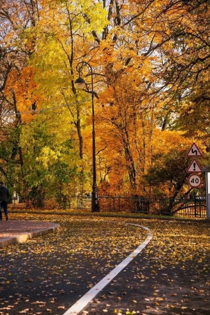 🍁Золотая осень в Петербурге..