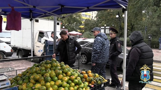 Очередной рейд по нелегалам провели полицейские в Ростове и пригородах. Они проверяли рынки и торговые..