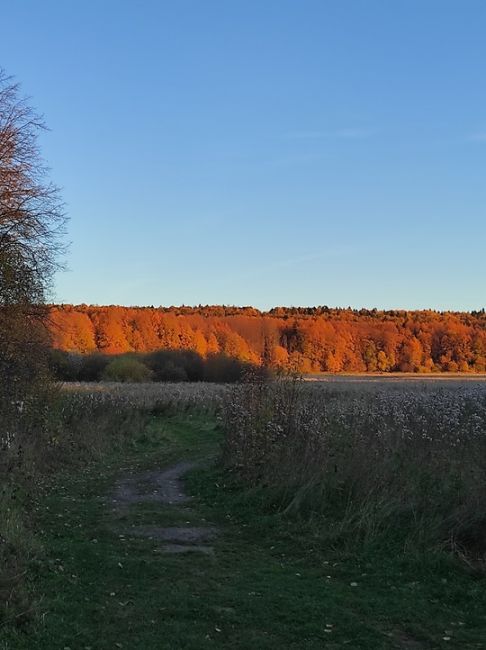 Пермский район, поселок Горный..