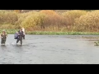 ‼️На Чусовой неравнодушные жители спасли одинокого лебедя

Птица несколько недель оставалась одна на..