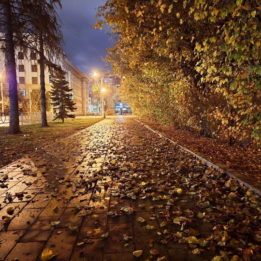 🍂Опавшие листья шуршат под..