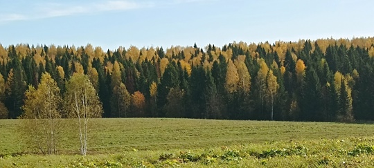 Еще осенние пейзажи Перми 😍Спасибо за фото нашему подписчику

Кидайте фото в..